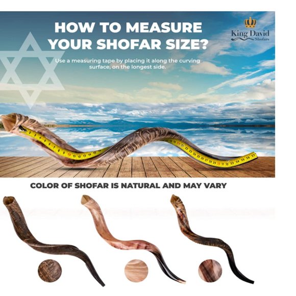 Sold to Aleph E Off Another Platform - Picture 5 of 5